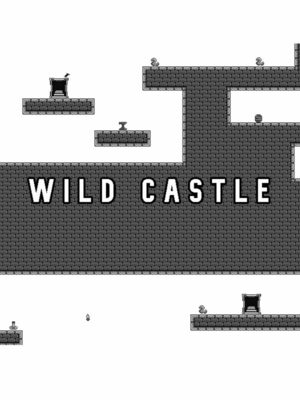 Cover for Wild Castle.