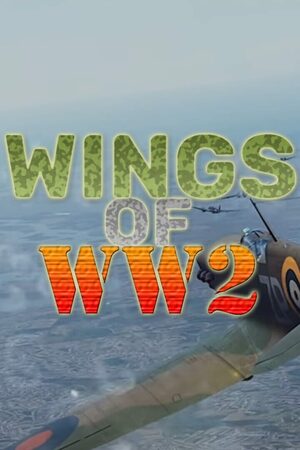 Cover for Wings Of WW2.