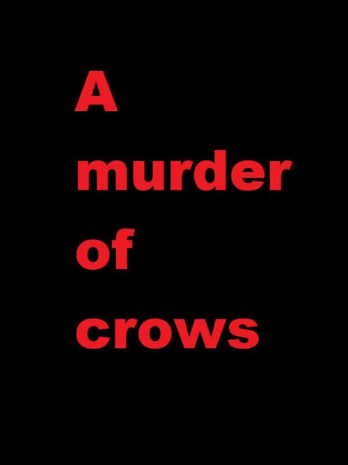Cover for A murder of crows.