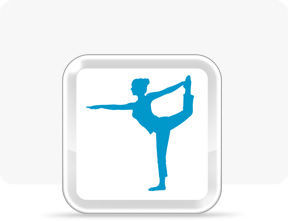 Cover for Wii Fit U.