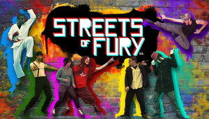 Cover for Streets of Fury EX.
