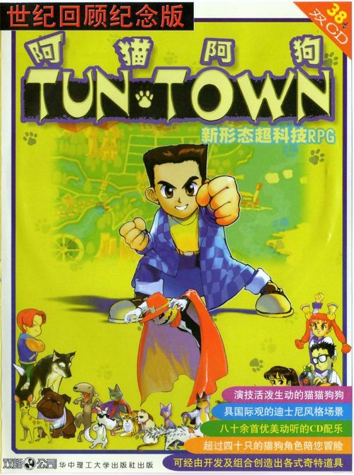 Cover for TUN TOWN.