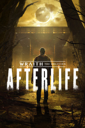 Cover for Wraith: The Oblivion – Afterlife.