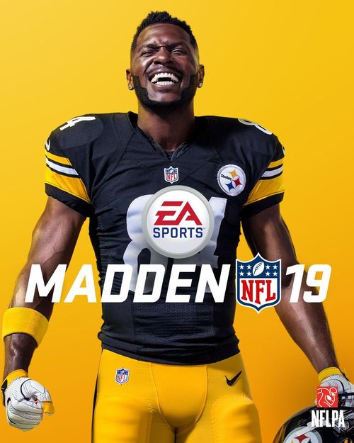 Cover for Madden NFL 19.
