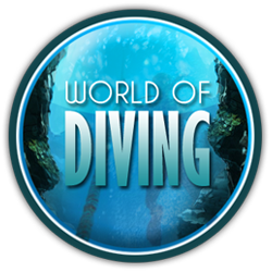 Cover for World of Diving.