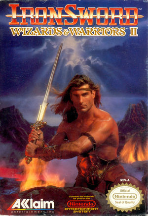 Cover for Ironsword: Wizards & Warriors II.