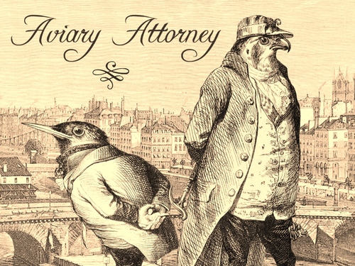 Cover for Aviary Attorney.