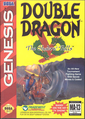 Cover for Double Dragon V: The Shadow Falls.