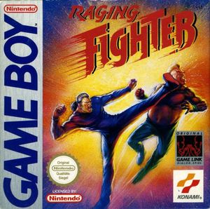 Cover for Raging Fighter.