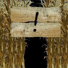 Cover for Corn Maze.