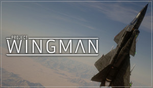 Cover for Project Wingman.