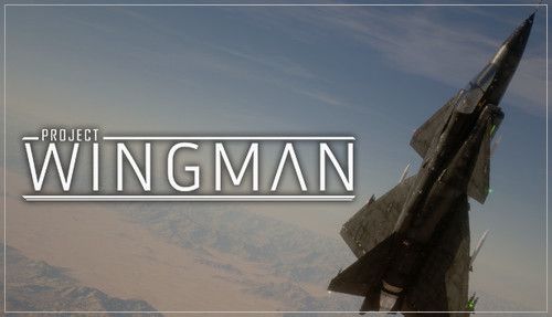 Cover for Project Wingman.