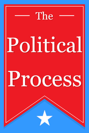 Cover for The Political Process.