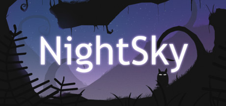 Cover for NightSky.
