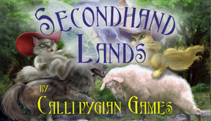Cover for Secondhand Lands.