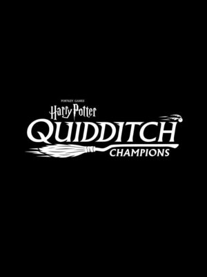 Cover for Harry Potter: Quidditch Champions.