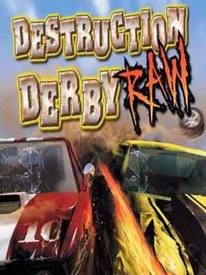 Cover for Destruction Derby Raw.
