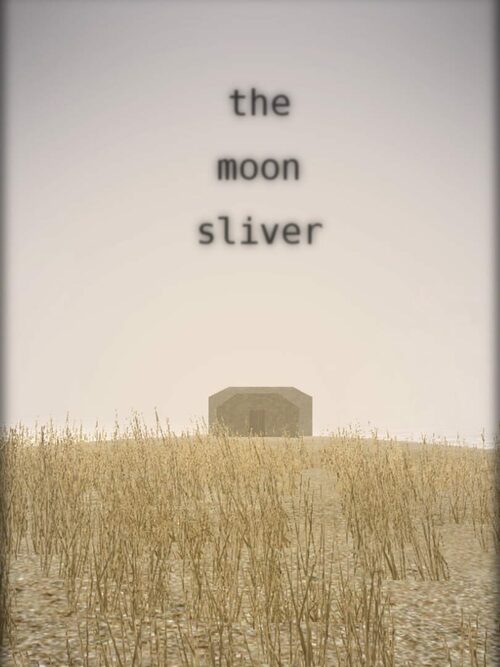 Cover for The Moon Sliver.