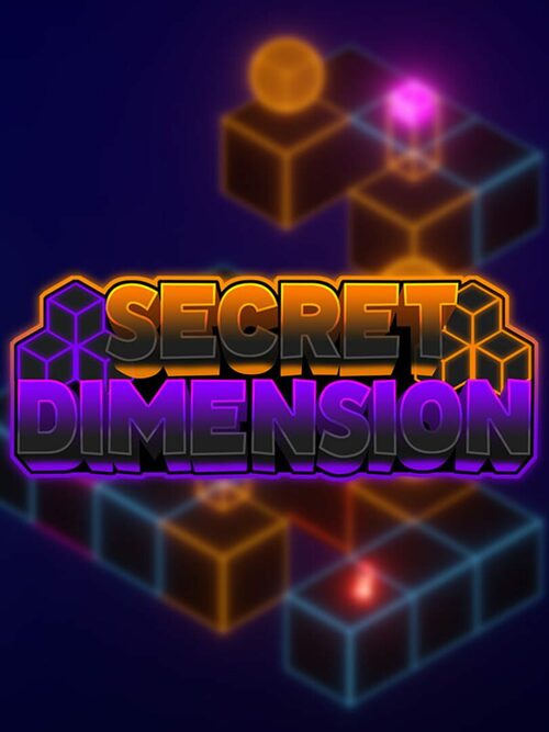 Cover for Secret Dimension.