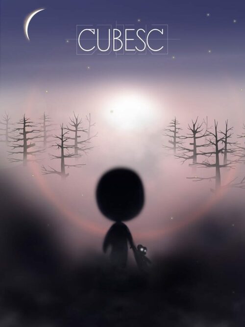 Cover for Cubesc.