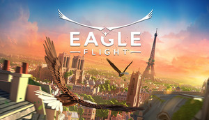 Cover for Eagle Flight.