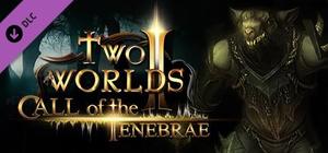 Cover for Two Worlds II: Call of the Tenebrae.