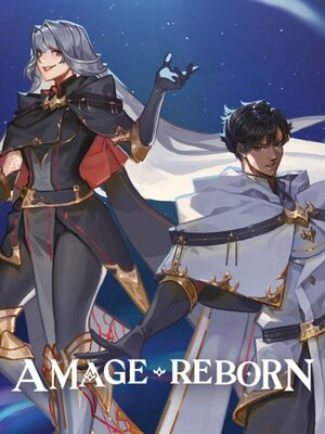Cover for A Mage Reborn.