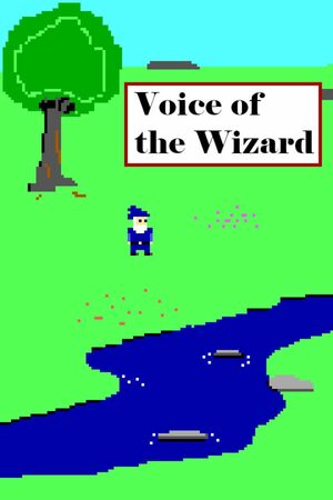 Cover for Voice of the Wizard by Brett Farkas.