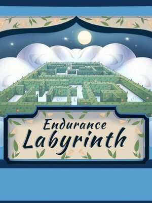 Cover for Endurance Labyrinth.