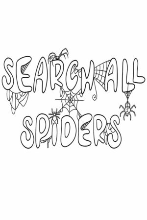 Cover for SEARCH ALL - SPIDERS.