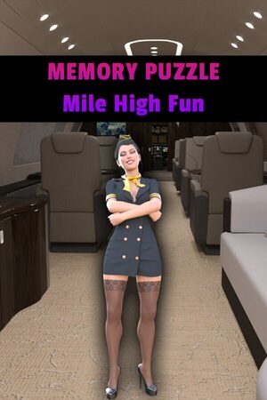 Cover for Memory Puzzle - Mile High Fun.