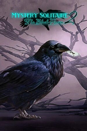 Cover for Mystery Solitaire. The Black Raven 2.