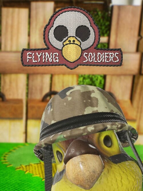 Cover for Flying Soldiers.