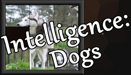 Cover for Intelligence: Dogs.