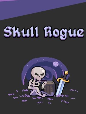 Cover for Skull Rogue.